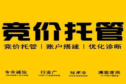 SEM竞价托管实战案例，效果显著